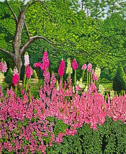 Foxglove Garden