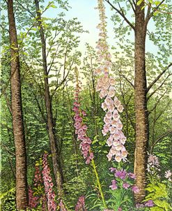 Foxglove I