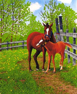 Mother’s Love, Machias NY