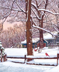 New Oregon Road – Cardinals, Eden Ny