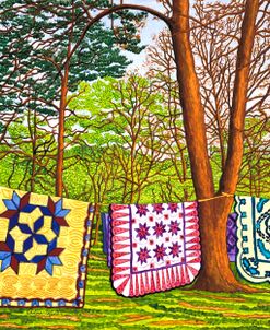 Quilts In The Woods, Bird-In-Hand Pa