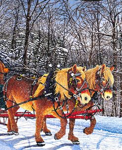 Sleigh Ride At Chestnut Ridge, Orchard Park, Ny