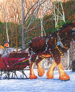 Sleigh Ride At Letchworth Park, Ny