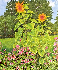 Sunflower Duet