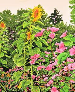 Sunflower Quartet