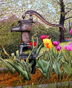 Tulips At The Pump, Nunda Ny