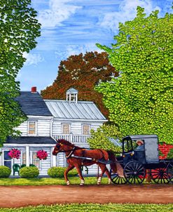 Amish Carriage