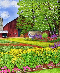 Amish Farmyard