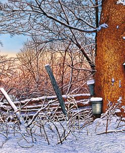 Buckets And Branches