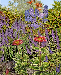 Dorothy’s Garden