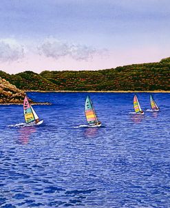 Hobie Cats