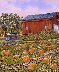 Pumpkin Patch