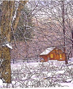 Woodland Winter