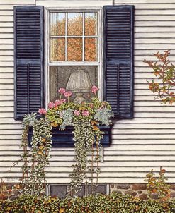 Window Box