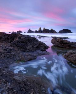 Seal Rock Colors