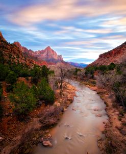 Zion River Vert