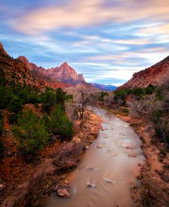 Zion River Vert