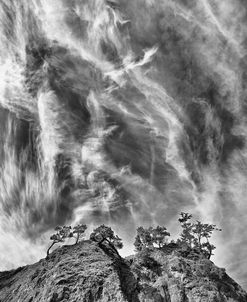 Tree Island Clouds B&W Pushed