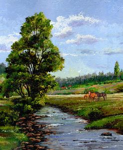 Meadow & Horses