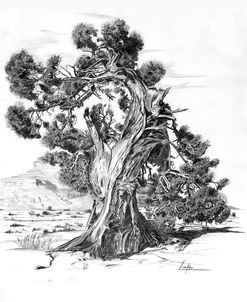 Treesc