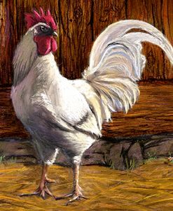 Bantam Rooster