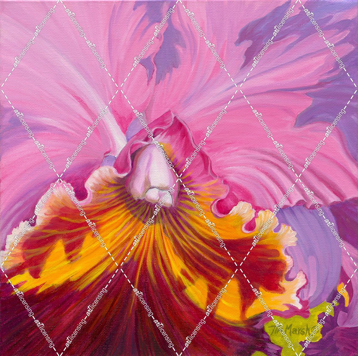 Orchid Series 1