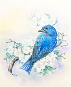 Bluebird