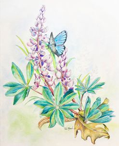 Lupines