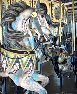 Merry Go Round 1