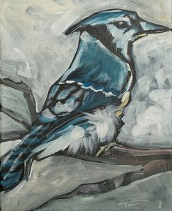 Blue Jay