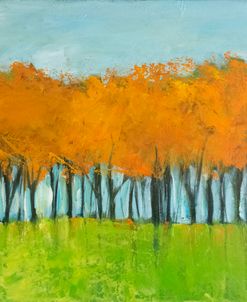 Autumn Blaze Treeline