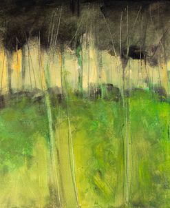 Field And Trees