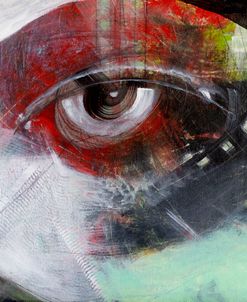 Eye In The Sky