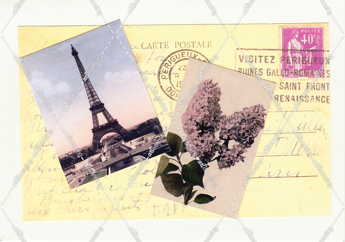 Travel Paris Flower