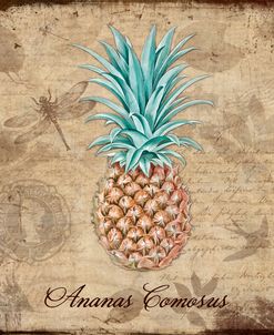 Ananas Comosus