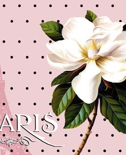 Paris Magnolias II