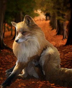 Fall Fox