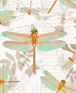 Vintage Botanicals Dragonfly Pattern Copper