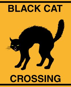 Black Cat Crossing