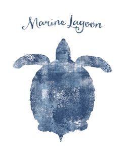 Turtle Marine Lagoon
