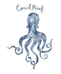Octopus Coral Reef