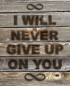 I Will Never Give Up On You