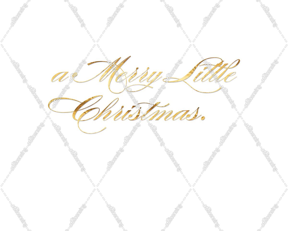 Park Avenue a Merry Little Christmas inside card copy