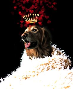 Royal Love Pup – Golden Retriever
