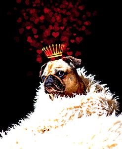 Royal Love Pup – Pug