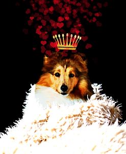 Royal Love Pup – Sheltie