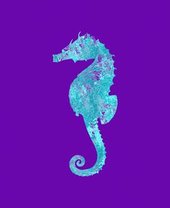 Sponge Seahorse Aqua