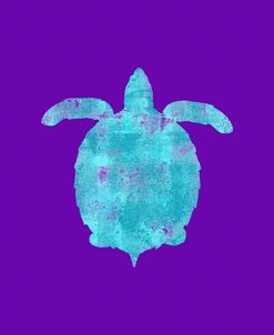 Sponge Turtle Aqua