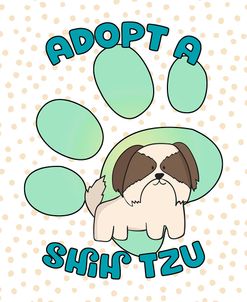 Adopt A Shih Tzu