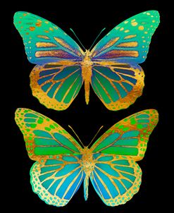 Danaus Plexippus Psychedelicus II